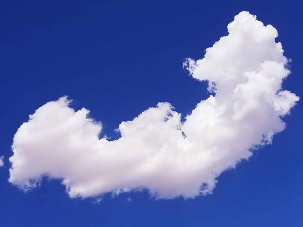 Les avantages de participer aux sessions de formation en tant que volontaire local guide