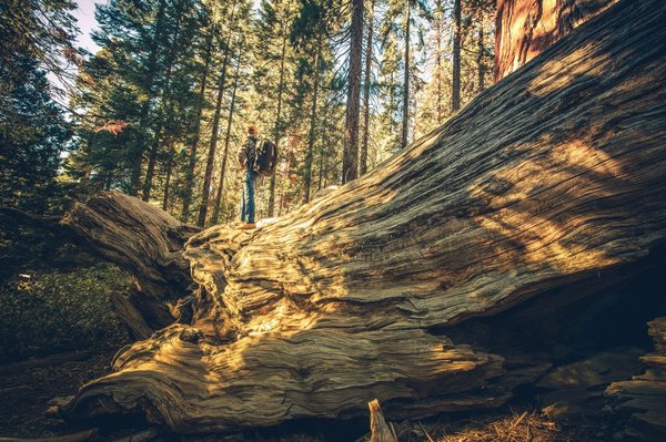 Exploration de la programmation fonctionnelle en Scala : Avantages et applications